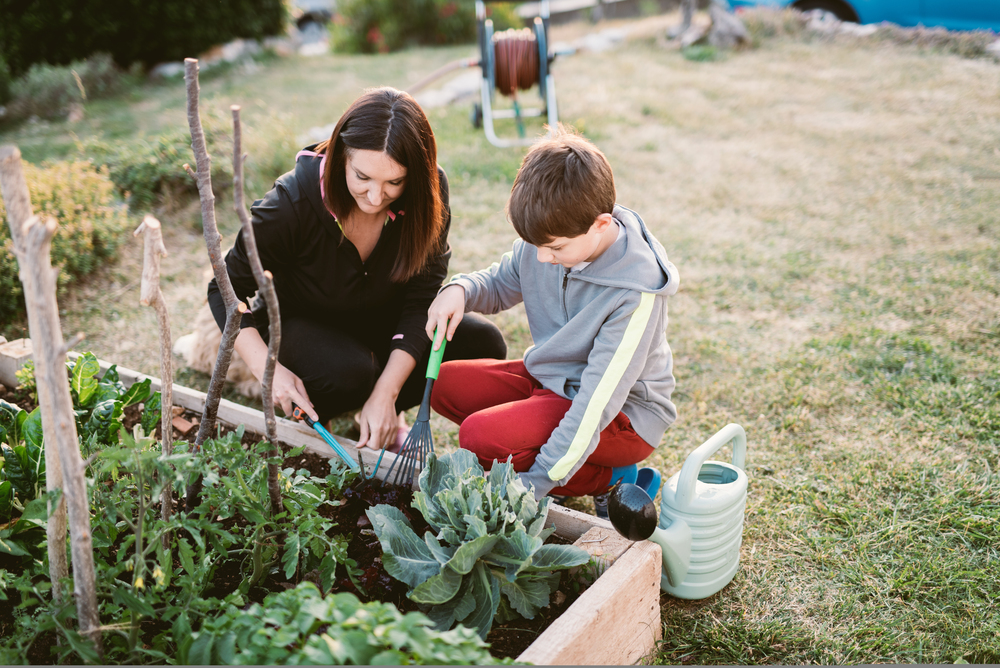 Maladies et parasites dans les jardins : prévention et traitement !